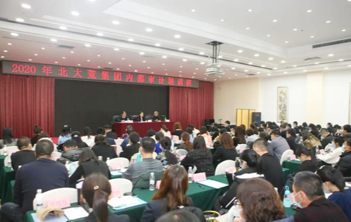 北大荒集团内部审计改革成效显著(图1) 北大荒集团内部审计改革成效显著(图1)