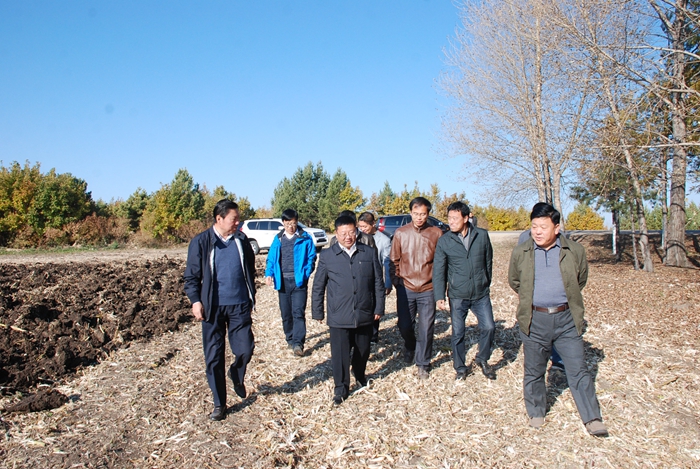 王晓春深入尖山、大西江、荣军、红五月、鹤山农场慰问一线干部职工并对当前重点工作提出要求(图1)