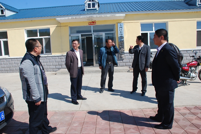 王正非到大西江农场检查指导精神文明建设工作(图1)