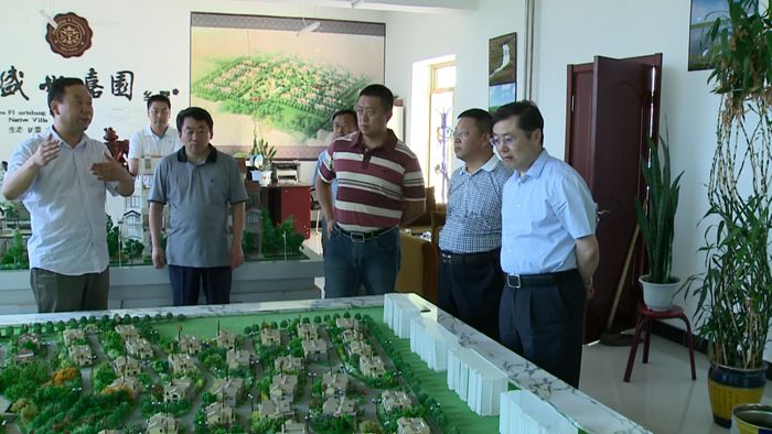 总局局长王有国在九三管理局局长王晓春陪同下到哈拉海农场调研(图2)