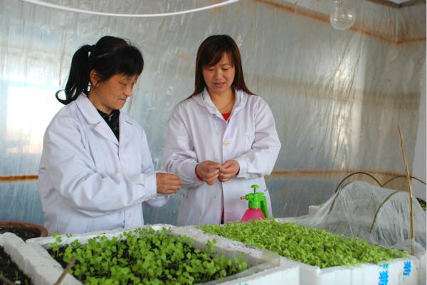 大西江农场：有机蔬菜育苗工作陆续开展中(图1)