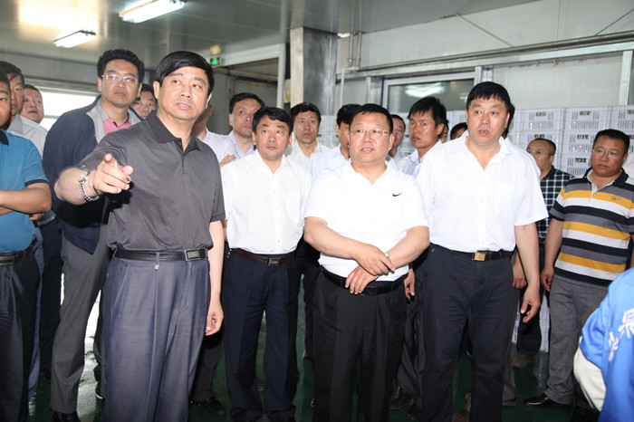 王晓春强调：认清形势  查找不足 全力推进 促产业项目建设健康发展(图2)