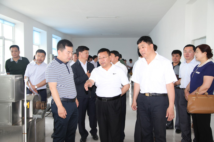 王晓春强调：认清形势  查找不足 全力推进 促产业项目建设健康发展(图3)