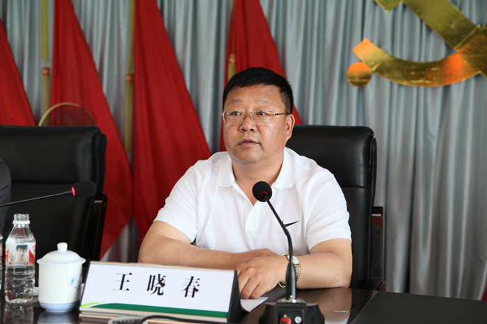王晓春强调：认清形势  查找不足 全力推进 促产业项目建设健康发展(图4)