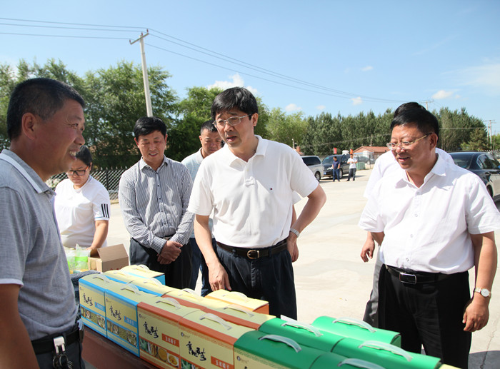 总局党委书记王兆力到我局调研(图5)