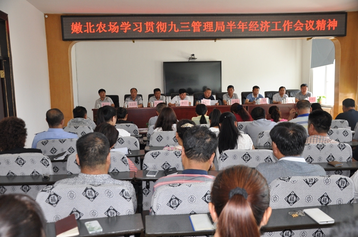嫩北农场积极学习贯彻管理局半年经济工作会议精神(图1)