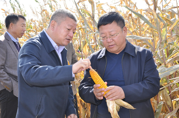 王晓春强调：强化忧患意识破解资源瓶颈 积极拓展渠道促进职工增收(图1)