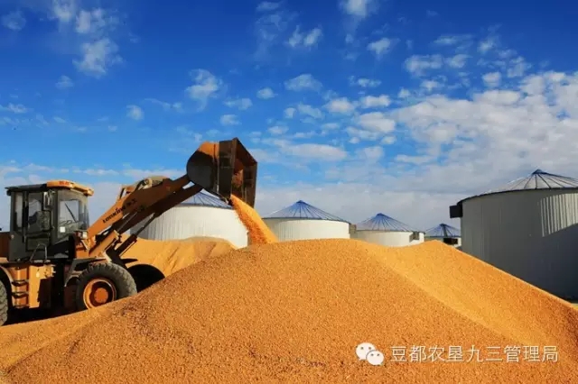 2015九三管理局十项工作新突破(图1)