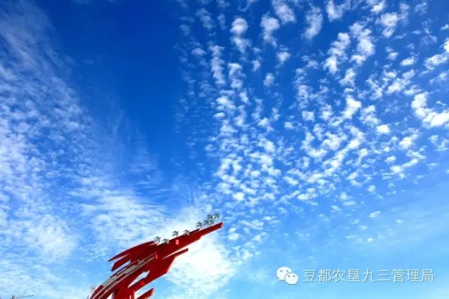 2015九三管理局十项工作新突破(图5)