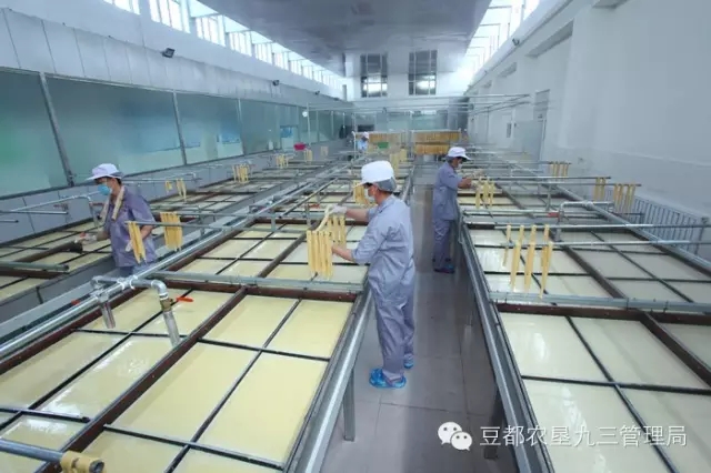 2015九三管理局十项工作新突破(图6)