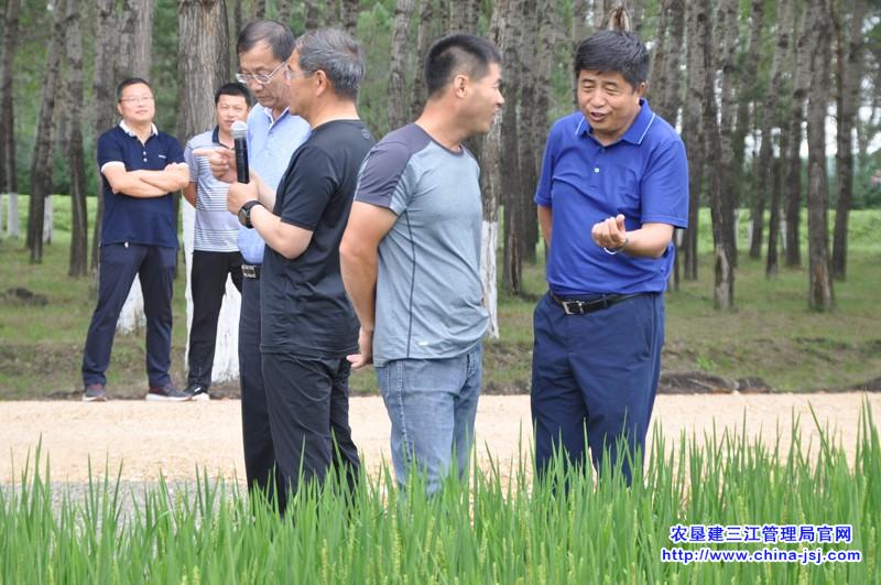 建三江管理局2018年农业重点工作推进会议在大兴农场召开(图2)