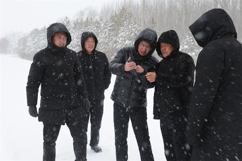 前进农场有限公司巡查指导防雪除患指导农业安全生产(图2)