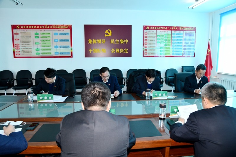 前进农场有限公司召开党委领导班子2021年度党史学习教育专题民主生活会(图5)