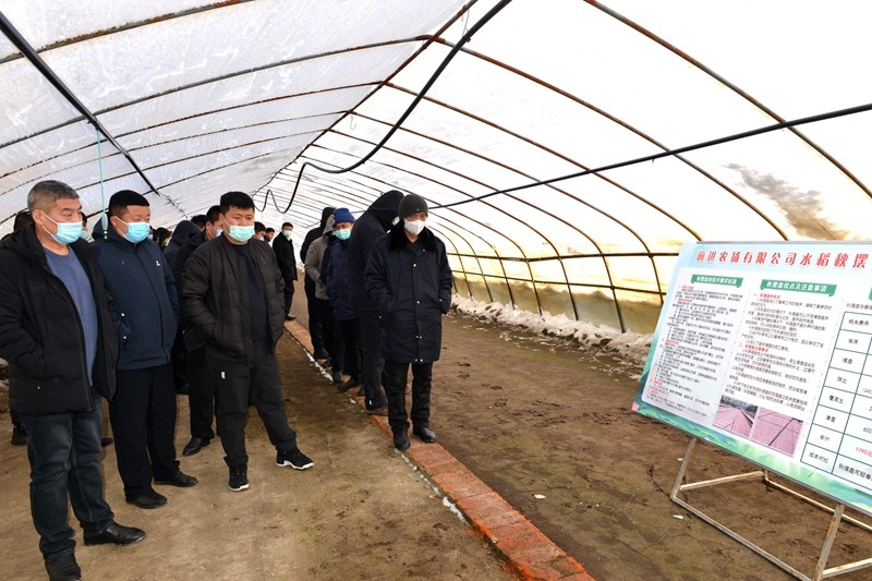 前进农场有限公司召开农业现场观摩学习交流会(图4)