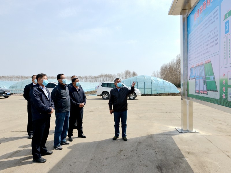 柳毅到前进农场有限公司调研备耕生产和疫情防控工作(图3)