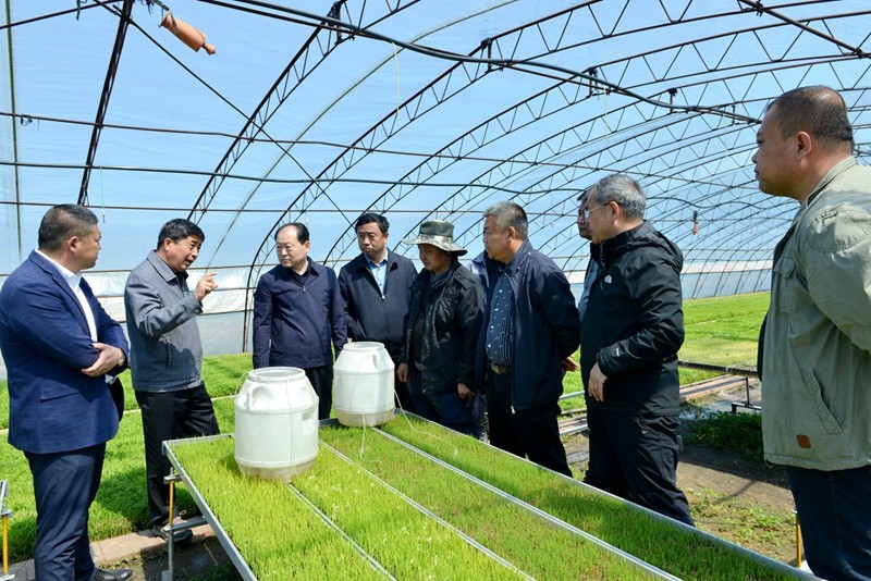 张宝林到前进农场有限公司调研(图2)