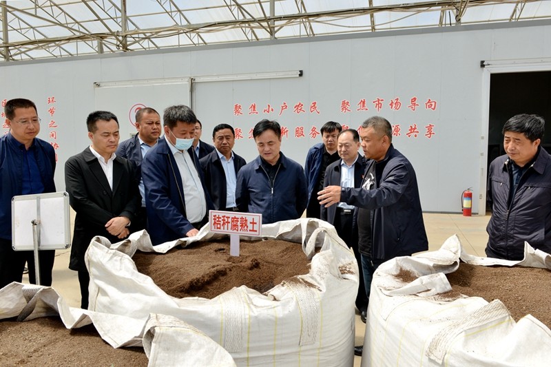 林长华到前进农场有限公司调研(图1)