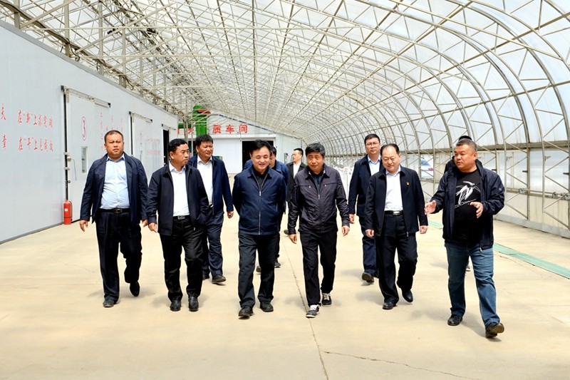 林长华到前进农场有限公司调研(图2)