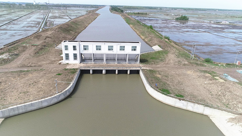 前进农场有限公司有效扩大江水灌溉面积 为种植户送来“增收水”(图1)