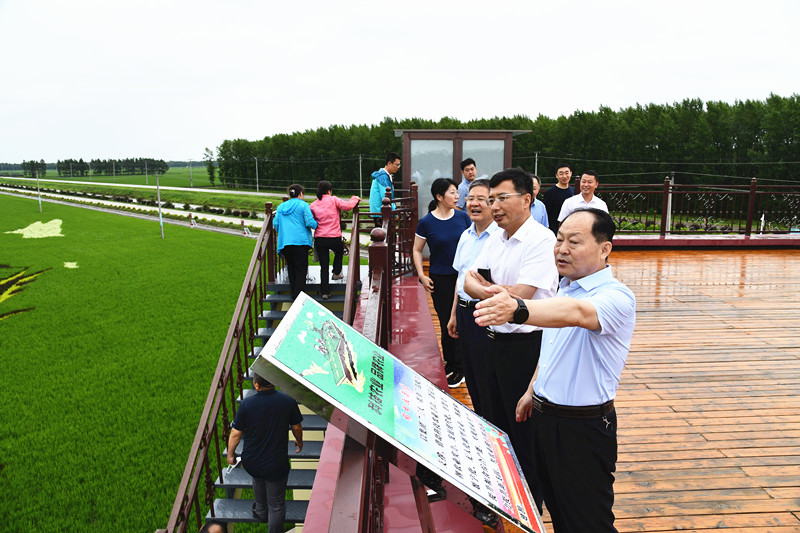 郐思维陪同省教育厅副厅长解宗军到前进农场有限公司调研(图1)