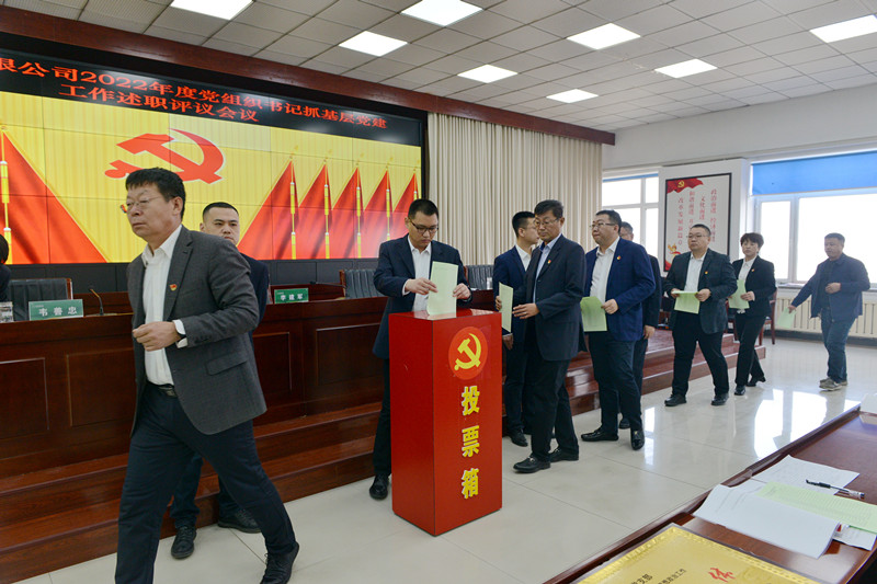 前进农场有限公司召开2022年度党组织书记抓基层党建工作述职评议会议(图3)
