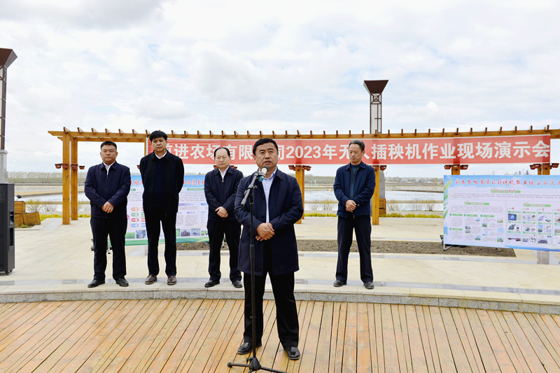 前进农场有限公司强化标准高质量推进插秧工作(图1)