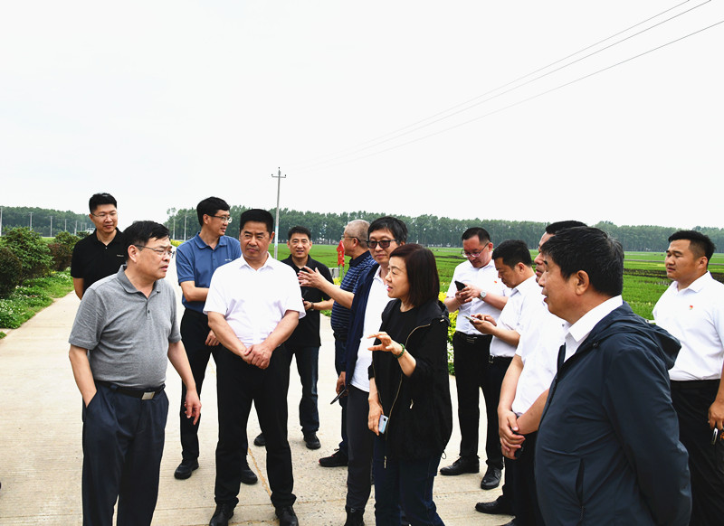 苍云陪同中国灌溉排水中心到前进农场有限公司调研(图2)