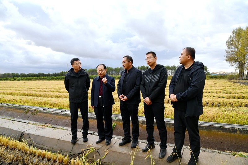 郐思维到前进农场有限公司检查指导秋收生产工作(图1)