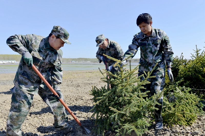 前进农场有限公司党员干部义务植树  共建绿色家园(图1)