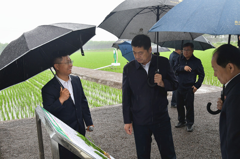 建三江分公司农业综合环境治理及当前重点工作推进会在前进农场召开(图3)