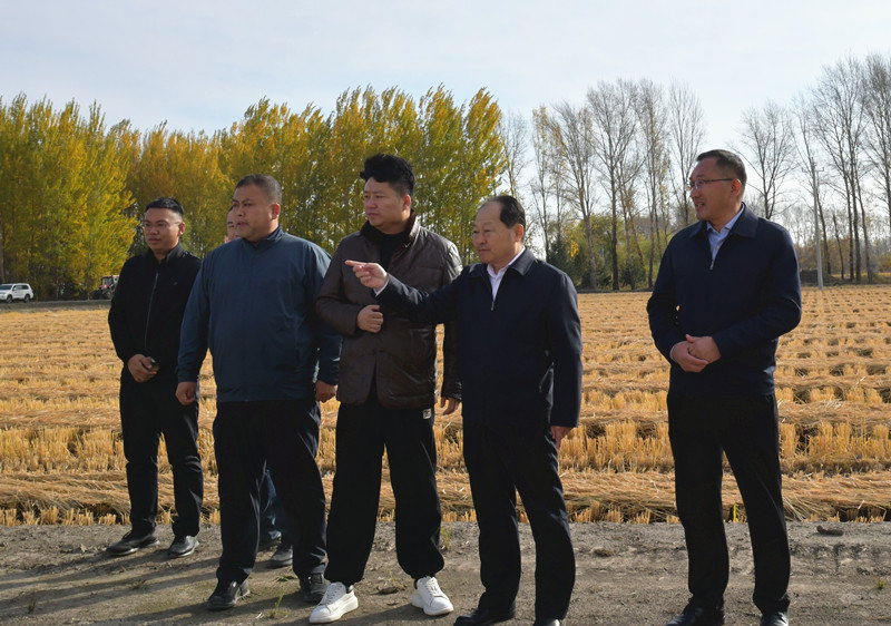前进农场有限公司开展“国庆好‘丰’景 ，慰问秋收行”主题党日活动(图2)