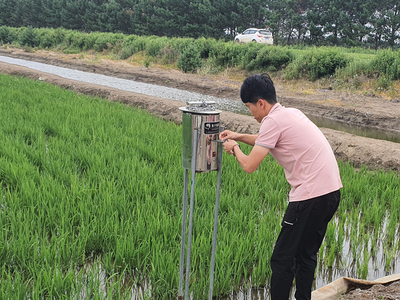 前进农场有限公司“预防为主、综合防治”落实水稻病害防治工作(图3)