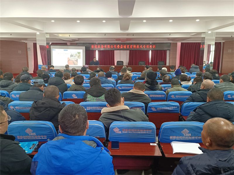 前进农场有限公司党建引领聚合力 让春耕生产的路更宽(图1)
