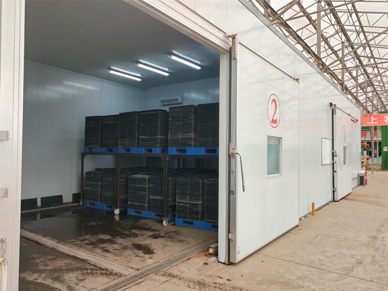 前进农场有限公司利用叠盘暗室技术 让秧苗赢在起跑线上(图2)