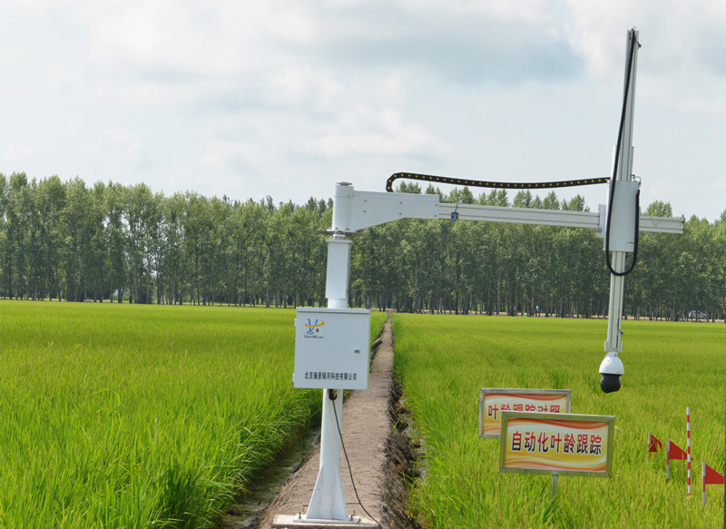DSC_6916_副本.jpg