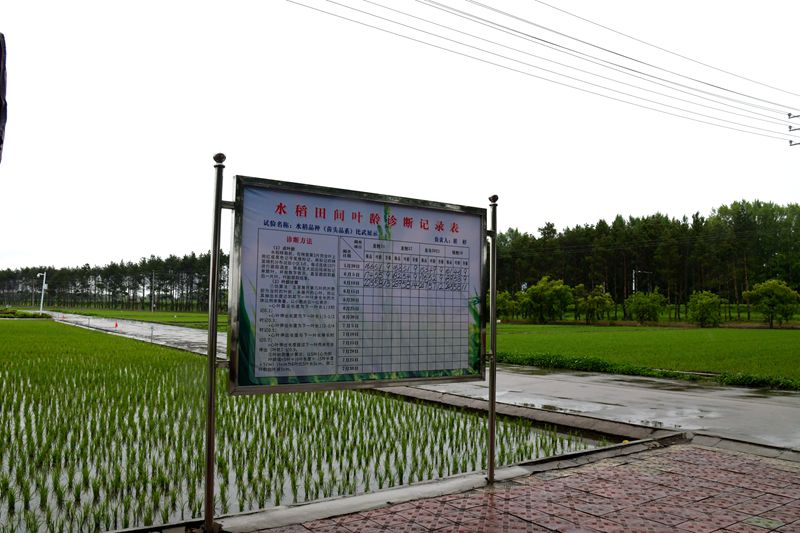DSC_9801_副本.jpg