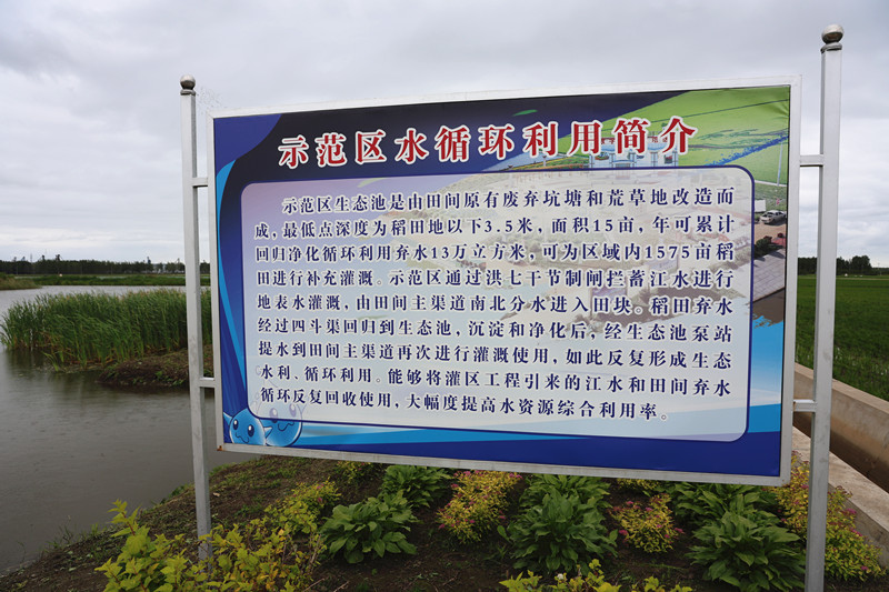 前进农场有限公司多措并举大力发展绿色农业(图2)