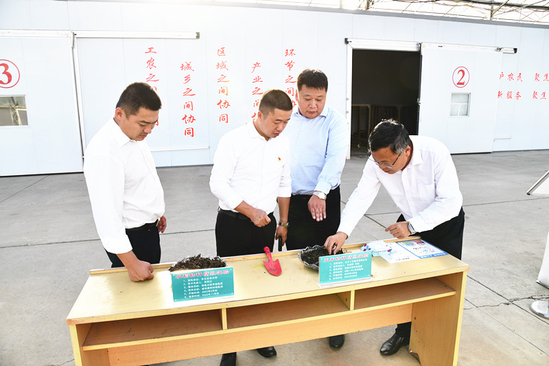 前进农场有限公司以小切口推动大战略促产业发展再升级(图1)