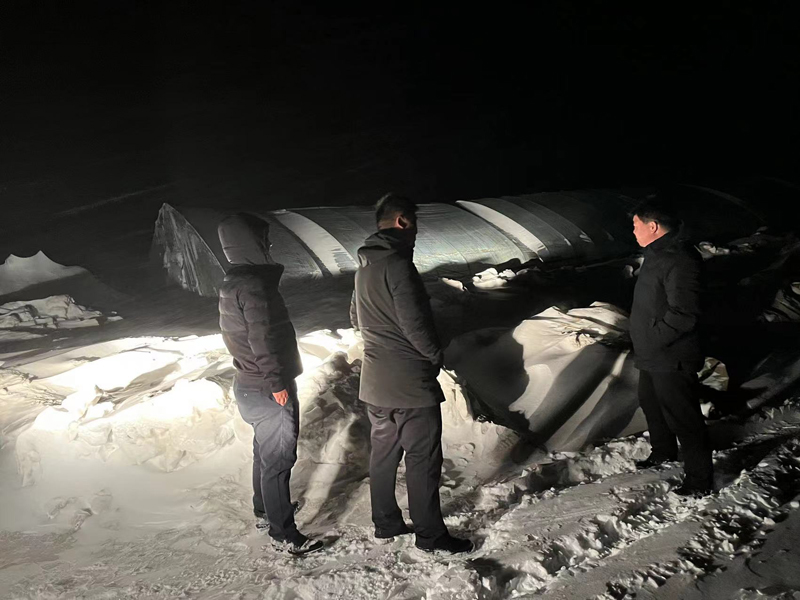 前进农场有限公司多措并举战风雪 靠前指挥保安全(图1)
