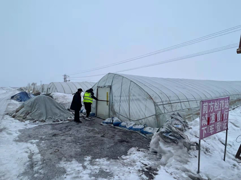 前进农场有限公司多措并举战风雪 靠前指挥保安全(图2)