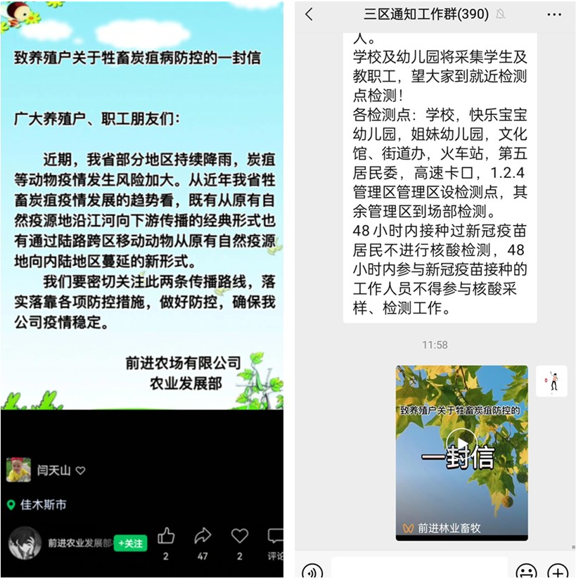 前进农场有限公司农业发展部多措并举扎实做好炭疽病防控工作(3).jpg