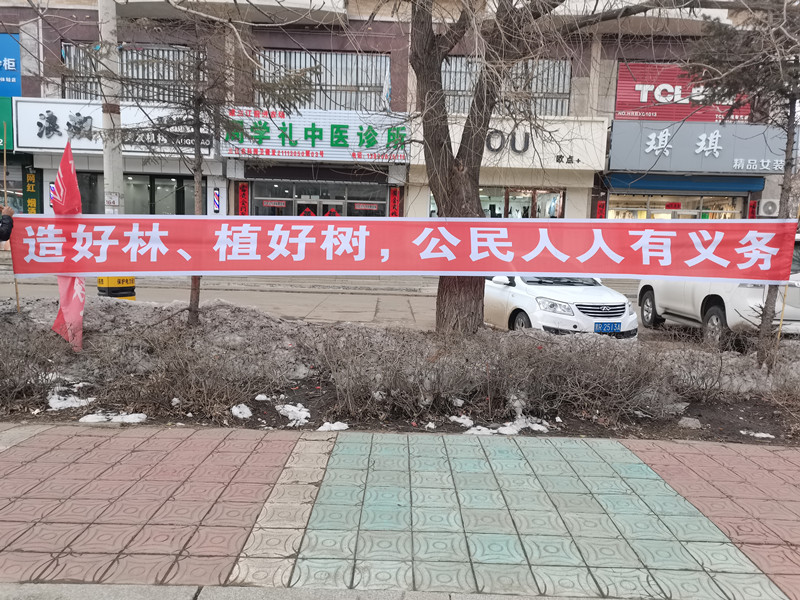 前进农场有限公司 开展“履行植树义务 共建美丽前进” 主题宣传活动(图1)