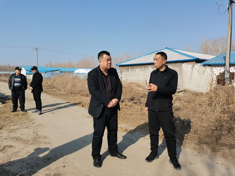 分公司农业发展部到前进农场有限公司进行畜牧工作督导检查.jpg