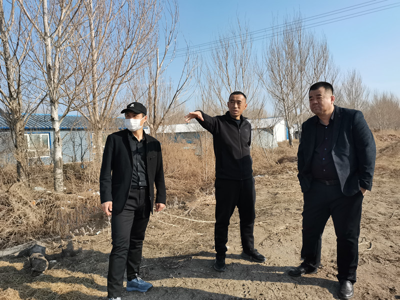 分公司农业发展部到前进农场有限公司进行畜牧工作督导检查 (3).jpg