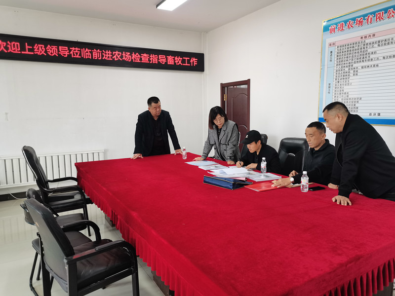 分公司农业发展部到前进农场有限公司进行畜牧工作督导检查 (2).jpg