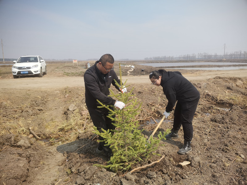 前进农场有限公司 开展“履行植树义务 共建美丽前进” 义务植树活动(图10)
