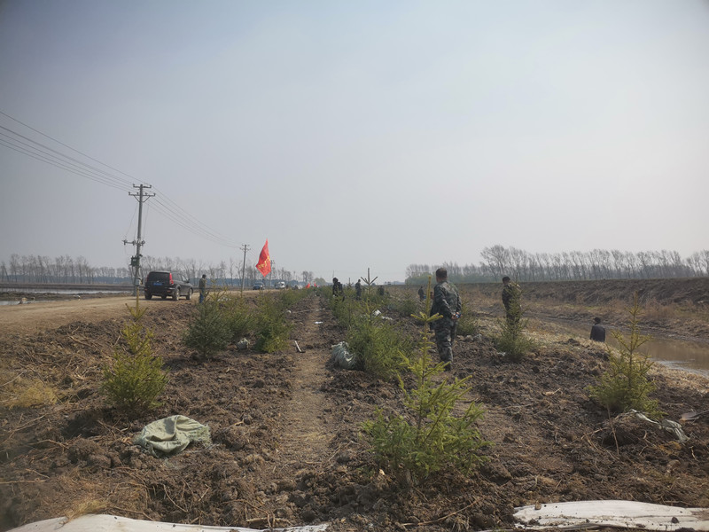 前进农场有限公司造绿增绿全面完成春季造林绿化工作2.jpg