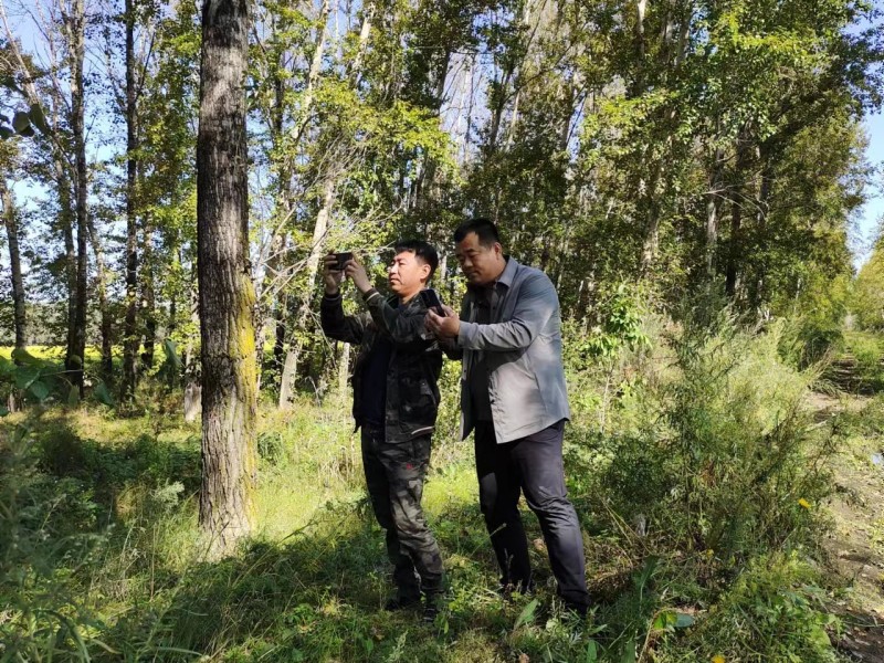 前进农场有限公司开展国土“三调” 新划入林地森林资源现状调查工作(图3)