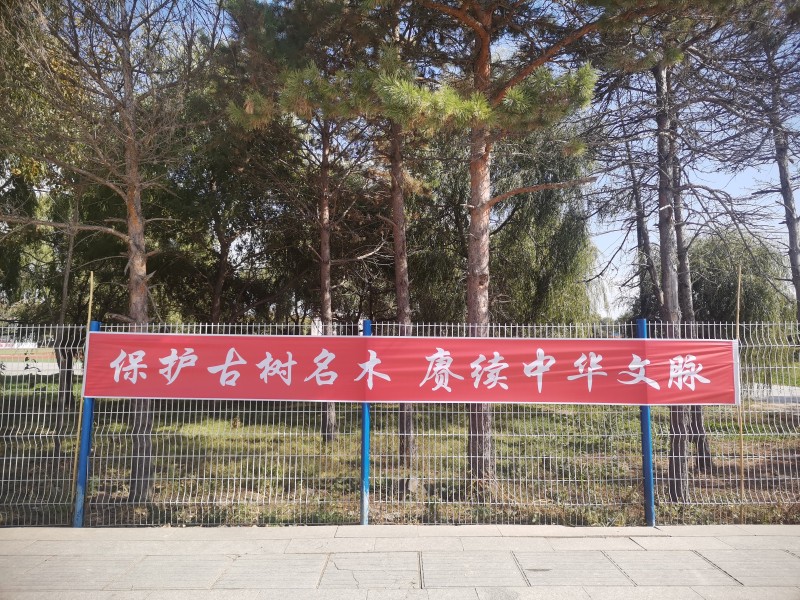 前进农场有限公司农业发展部开展“保护古树名木 赓续中华文脉”主题宣传活动1.jpg