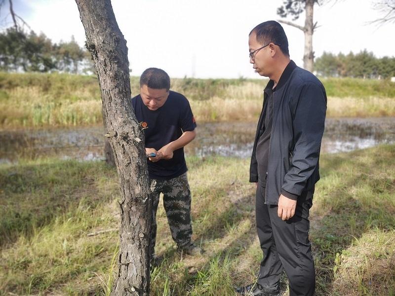 前进农场有限公司积极开展秋季森林病虫害调查工作1.jpg